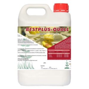 BESTPLUS QUALL ECO