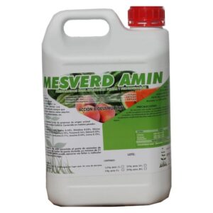 MESVERD AMIN
