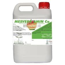 MESVERD AMIN Ca