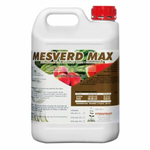 MESVERD MAX
